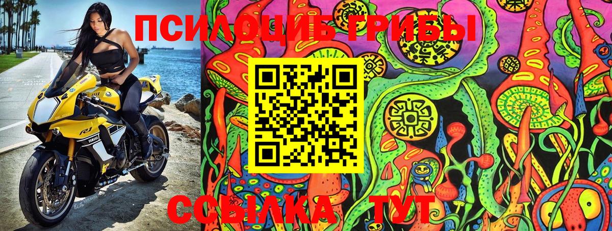 Галлюциногенные грибы MAGIC MUSHROOMS  Галлюциногенные грибы Cubensis  Новодвинск  цена наркотик  Вход с VPN 